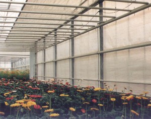 fotogalerie-velkoplosne-zastnineni-4 